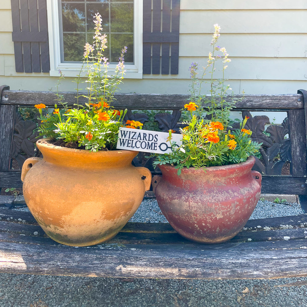 Wizards Welcome Hogwarts Harry Potter Desk Sign