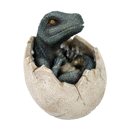 Velociraptor (Sitting in Shell) Hatchling Dinosaur Figurine