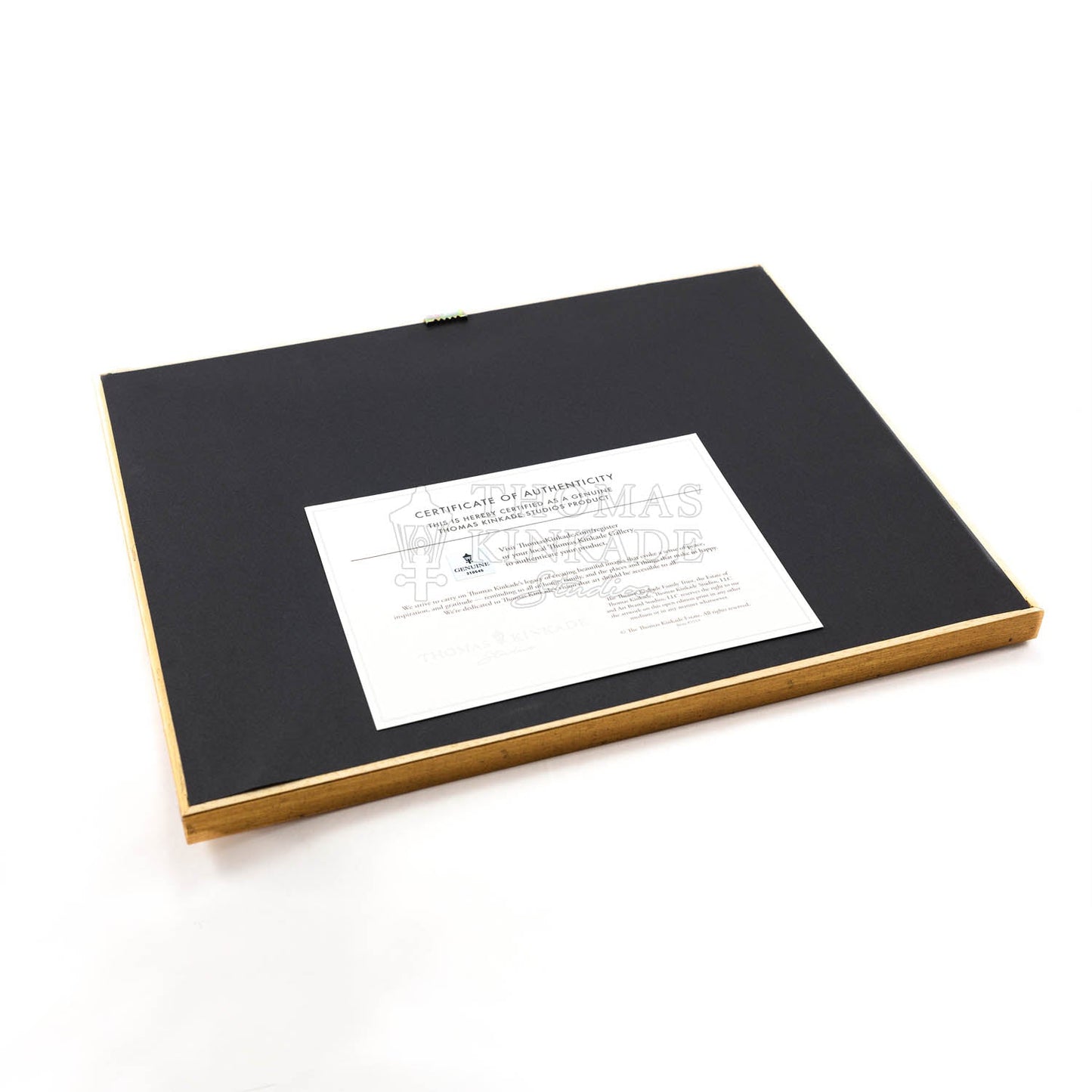 Disney's Alice in Wonderland Thomas Kinkade Art Print Framed