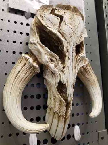 Mandalorian Mythosaur Skull (Star Wars) 17" Replica Wall Sculpture