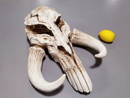 Mandalorian Mythosaur Skull (Star Wars) 17" Replica Wall Sculpture