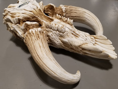 Mandalorian Mythosaur Skull (Star Wars) 17" Replica Wall Sculpture