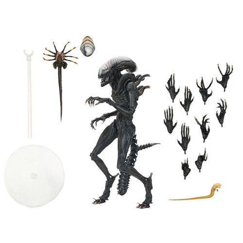 Alien Romulus Scorched Xenomorph Ultimate Figure