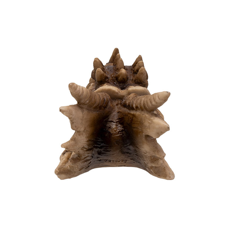 Fantasy Dragon Skull Incense Holder