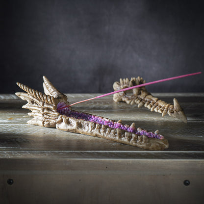 Fantasy Dragon Skull Incense Holder