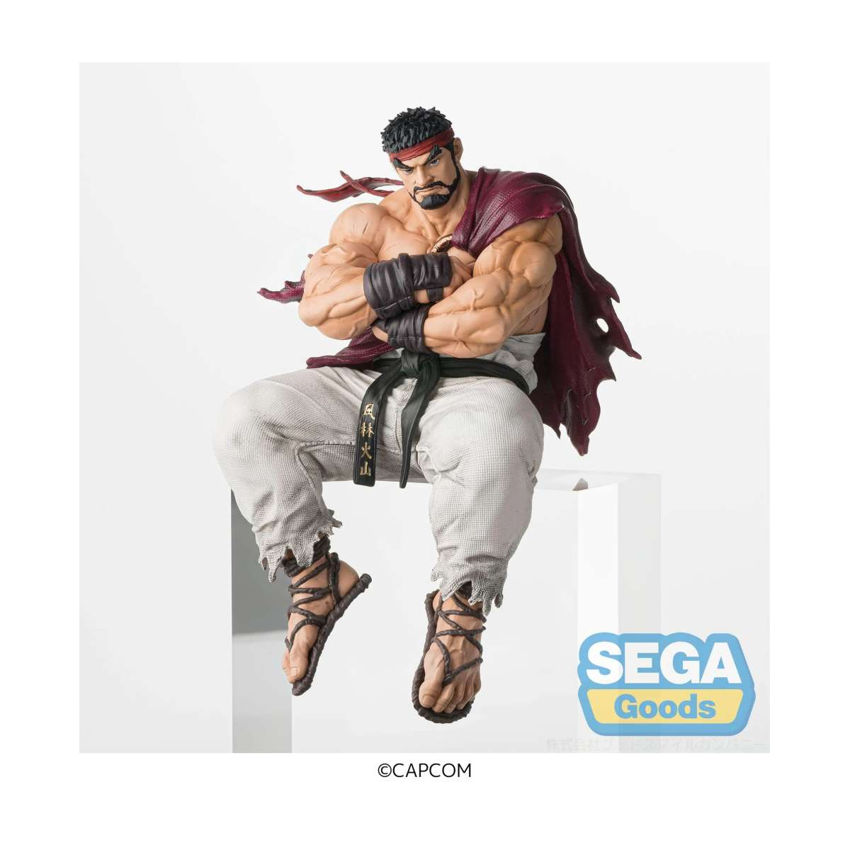 Street Fighter 6 - PM Perching Ryu Figurine