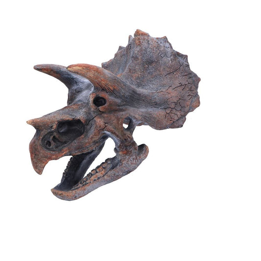 Triceratops Dinosaur Skull Wall Decor