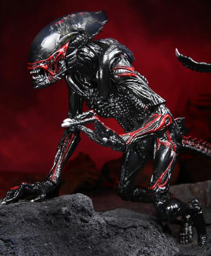 Alien Night Cougar Xenomorph Action Figure 9" by NECA