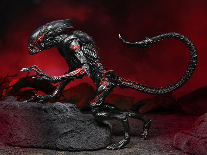 Alien Night Cougar Xenomorph Action Figure 9" by NECA