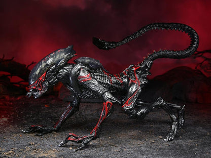 Alien Night Cougar Xenomorph Action Figure 9" by NECA