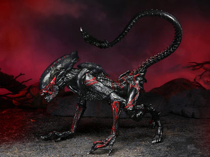 Alien Night Cougar Xenomorph Action Figure 9" by NECA