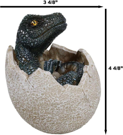 Velociraptor (Sitting in Shell) Hatchling Dinosaur Figurine