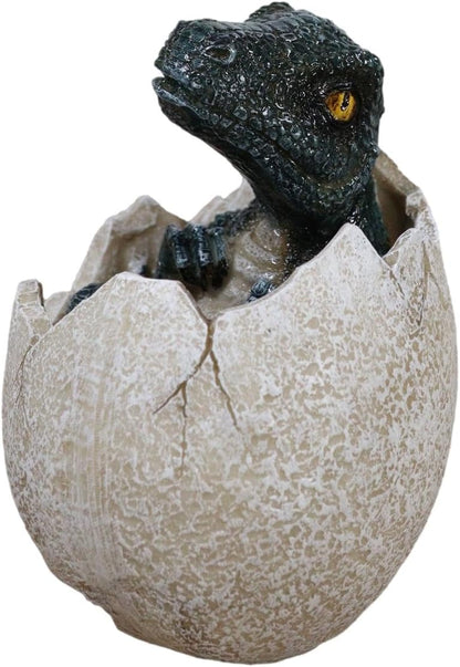 Velociraptor (Sitting in Shell) Hatchling Dinosaur Figurine
